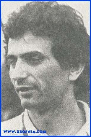 Vahid Halihodzic